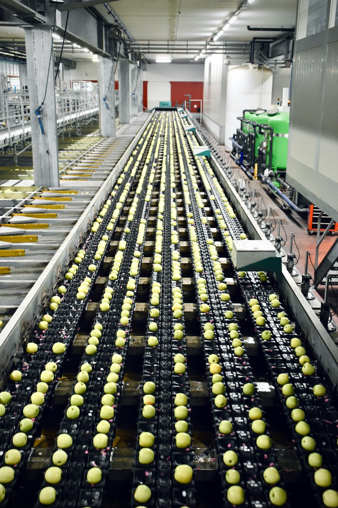 Inside an apple processing company in northern Italy